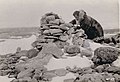 Richard Finnie, King William Island, circa 1930.jpg
