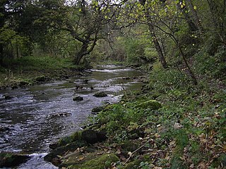 River Blyth, Northumberland river in Northumberland, United Kingdom