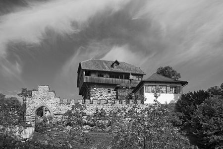 Roggwil Schloss Mammertshofen