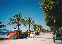 Palm-lined sea promenade