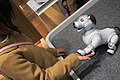 Aibo robot dog by Sony