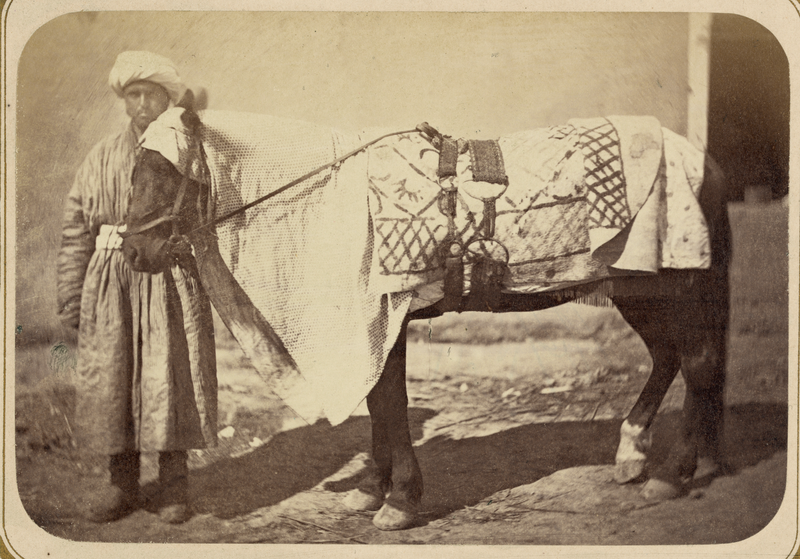 File:Saddle Gear of Central Asians WDL10876.png