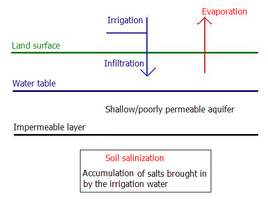 Soil salinization in irrigated flat land without an aquifer