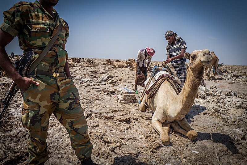 File:Salt miners, Danakil Depression.jpg