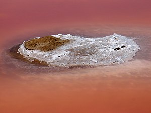 Salt-crust on saline pond