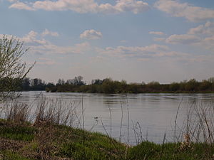 Dombrovas apriņķa ainava (Vislas upe Boleslavas gminas Samocices ciemā)