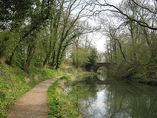 Sandy Hill Bridge, Basingstoke Canal - geograph.org.uk - 1817744