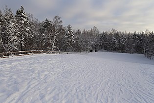 Лесопарк Сауэ зимой