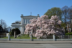 Schleswig-Holstein, Elmshorn, Naturdenkmal 02-06 NIK 1979.JPG