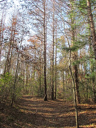 <span class="mw-page-title-main">Shawme-Crowell State Forest</span> State forest in Massachusetts. US