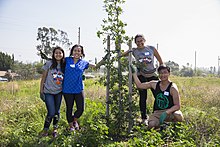 Foto grup dari empat Pomona siswa berpose di samping sebuah pohon pohon di Sheldon Park Arleta