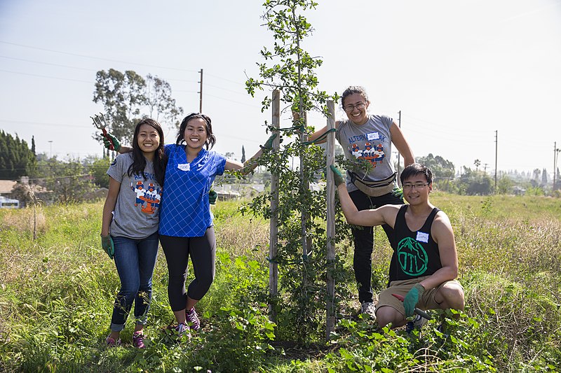 File:Sheldon Arleta Park tree care on Pomona College Alternabreak.jpg