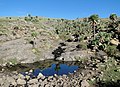 Parc national du Simien