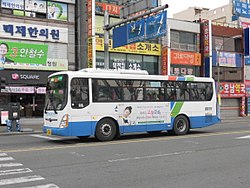 신안여객 1655