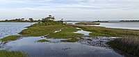 Sinepuxent Bay, Assateague Island National Seashore