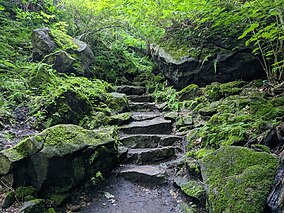 Staircase at Niagara Glen.jpg