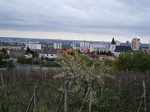 Rača (Bratislava)