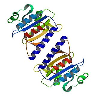 <span class="mw-page-title-main">Ste5</span>