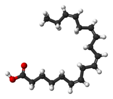 Stearidonsäure-3D-Bälle.png