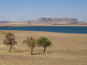 Sterkfontein qu'ei un des jadiments més rics dera Tèrra en ominids