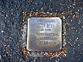 image=File:Stolperstein_Rosa_Levy%2C_Siegfriedstra%C3%9Fe_13%2C_Bonn.JPG