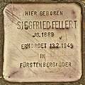 Stolperstein für Siegfried Fellert (Eisenhüttenstadt).jpg