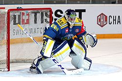 Storhamar Dragons vs. Genève-Servette HC, 3rd September 2015 19.JPG