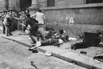 Thumbnail for Milan police headquarters bombing