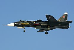 250px-Sukhoi_Su-47_in_2008.jpg