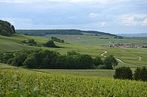 Landschap van de berg van Reims, noordkant