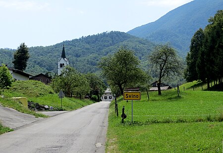 Svino Slovenia