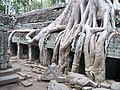 Hình thu nhỏ cho Ta Prohm