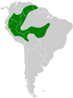 Distribución geográfica de la tangara pechinegra.