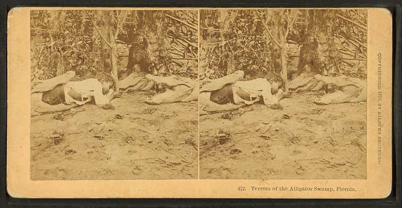 File:Terrors of the alligator swamp, Florida, by Kilburn Brothers.jpg