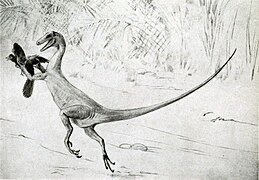 Recreación de un Ornitholestes cazando a un Archaeopteryx, de Charles Knight (circa 1910)
