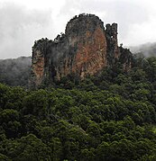 The cathedral, Nimbin Rocks