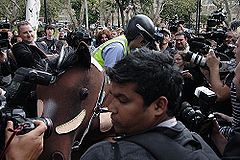 The pantomime horse stunt with Chris Taylor dismounting.