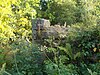 Оставшиеся руины замка Ньюбайрс.jpg