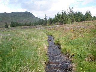 <span class="mw-page-title-main">River Cur</span> Tributary of Loch Eck, Scotland