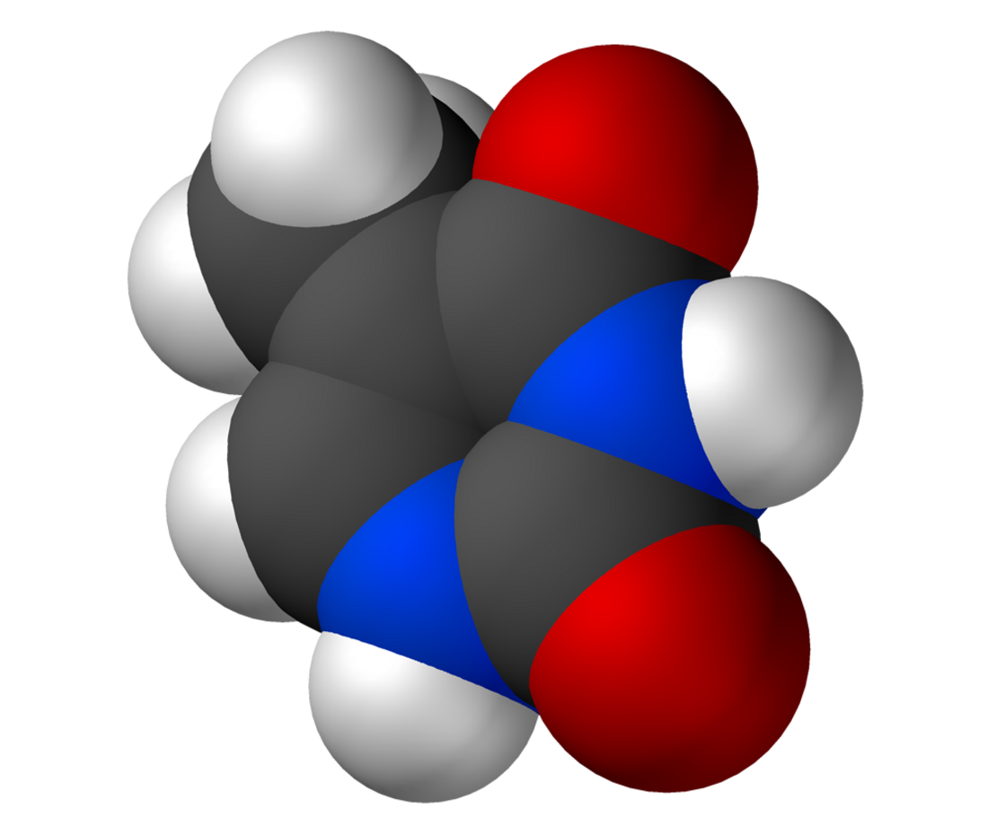 File:Thymine-3D-vdW.png