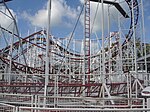 Tig'rr Coaster.jpg