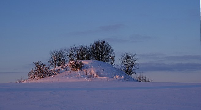 The tumulus "Tinghøjen" between Randers and Viborg