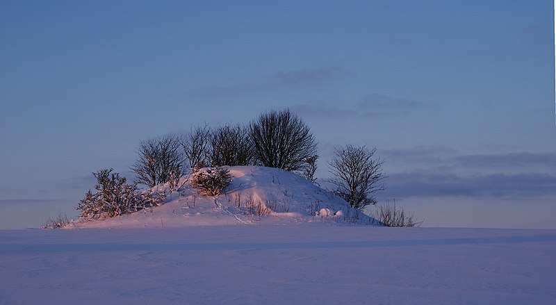 File:Tinghøj Hammershøj Kvorning 2010-01-08 edit filtered.jpg