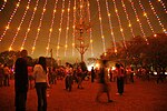 Zilker Holiday Tree