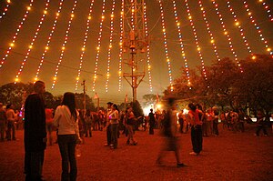 Zilker Holiday Tree