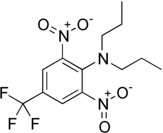 <span class="mw-page-title-main">Trifluralin</span> Weed control herbicide