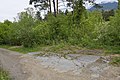 Tschötscher Heide Brixen Gletscherschliffe Tafel.jpg8 256 × 5 504; 41,49 MB