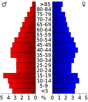 USA Cooke County, Texas age pyramid.svg