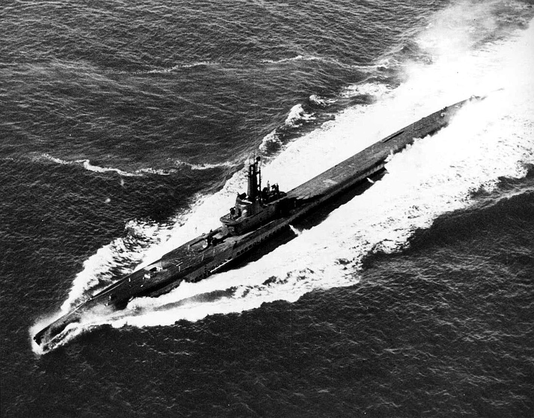 USS Pintado (SS-387)