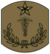 US Army OD Chevron Master Hospital Sergeant 1916-1920.png